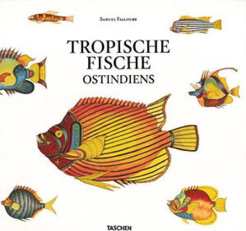 Tropische Fische Ostindiens von Samuel Fallours für 9,95 € Tropische Fische Ostindiens von Samuel Fallours für 9,95 €