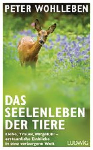 Das Seelenleben der Tiere. Liebe, Trauer, Mitgefühl - erstaunliche Einblicke in eine verborgene Welt von Peter Wohlleben für 19,99 € Das Seelenleben der Tiere. Liebe, Trauer, Mitgefühl - erstaunliche Einblicke in eine verborgene Welt von Peter Wohlleben für 19,99 €