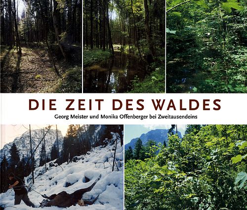 Die Zeit des Waldes von Meister & Offenberger für 29,90 € Die Zeit des Waldes von Meister & Offenberger für 29,90 €