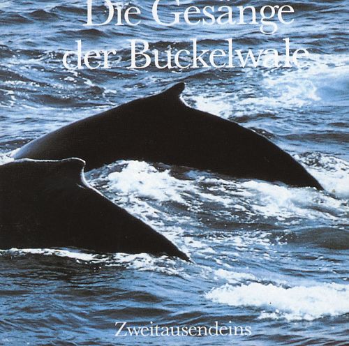 Die Gesänge der Buckelwale von Verschiedene Interpreten für 6,99 € Die Gesänge der Buckelwale von Verschiedene Interpreten für 6,99 €